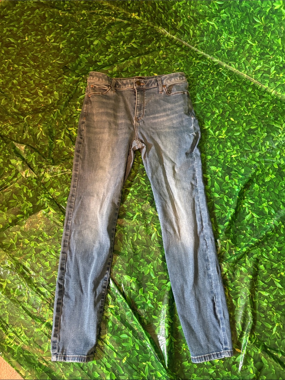 Vera Wang Skinny Jeans in Faded Blue Wash